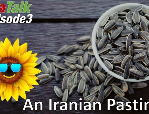 episode-03-an-iranian-pastime